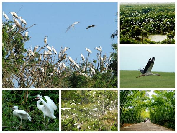 Cần Thơ có gì đẹp? Cần Thơ có gì đẹp?