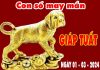 Phân tích con số may mắn tuổi Giáp Tuất ngày 1/3/2024 Phân tích con số may mắn tuổi Giáp Tuất ngày 1/3/2024