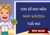 Con số may mắn tuổi Mùi 6/8/2024 giúp bạn thành đại gia Con số may mắn tuổi Mùi 6/8/2024 giúp bạn thành đại gia