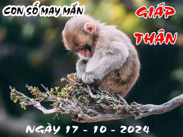 Con số may mắn tuổi Giáp Thân ngày 17/10/2024 thứ 5 hôm nay