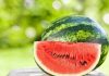 Nhìn thấy quả dưa hấu thường có ý nghĩa gì thú vị Nhìn thấy quả dưa hấu thường có ý nghĩa gì thú vị