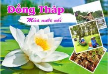 Du lịch Đồng Tháp Mười