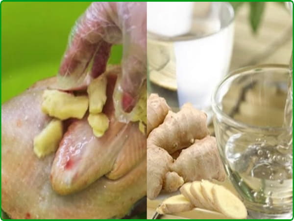 Cách sơ chế gà đúng cách khử mùi tành làm mềm thịt
