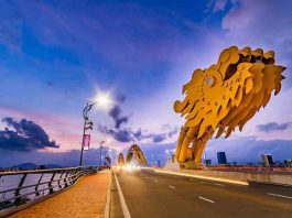 Cầu Rồng là biểu tượng độc đáo của Đà Nẵng về đêm